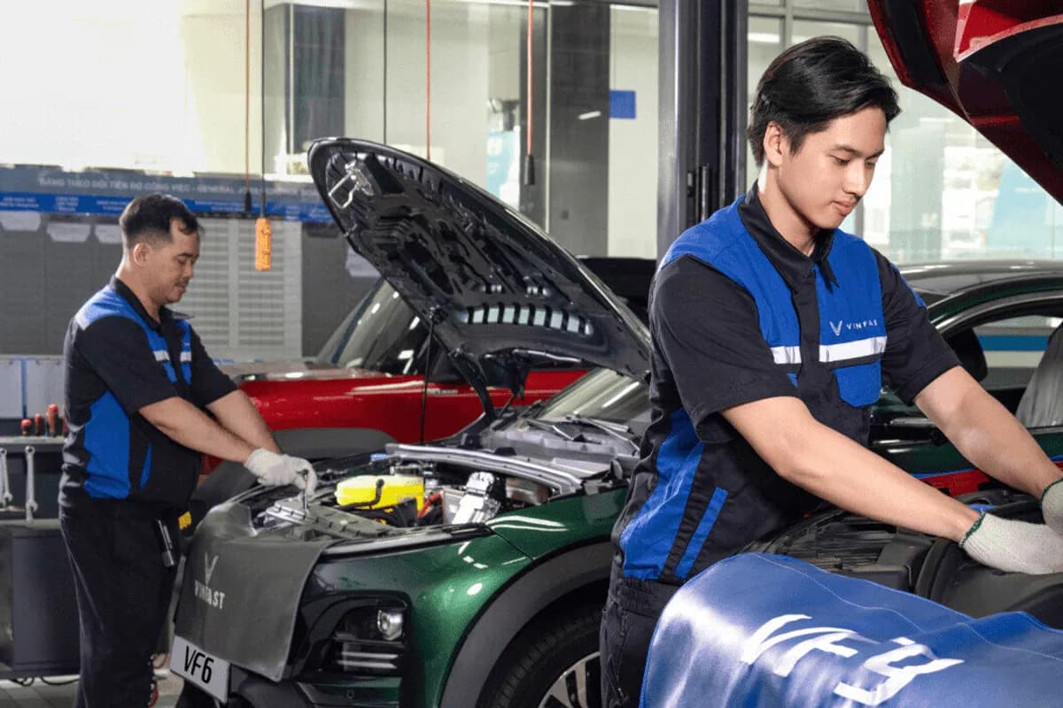 Cứu hộ khi cần